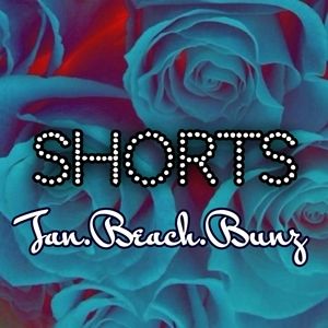 Shorts closet divider